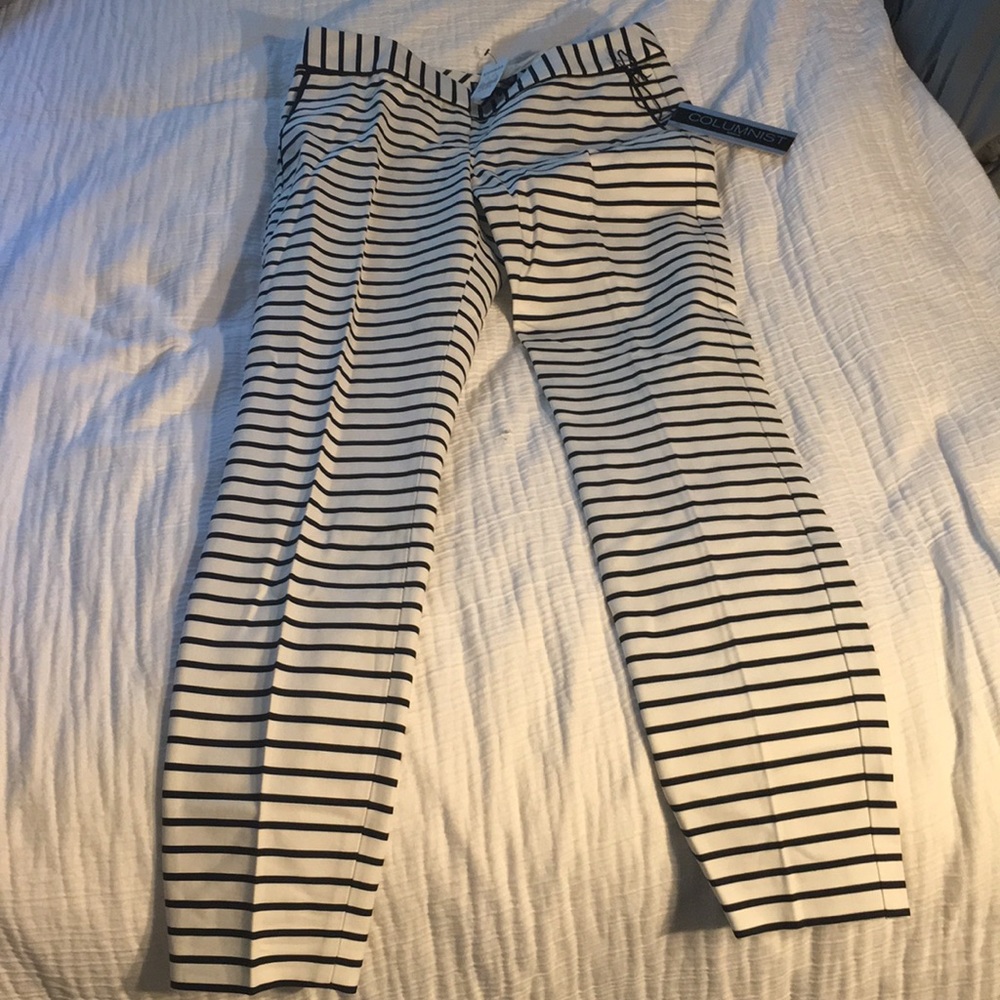 Express Columnist Ankle Pant